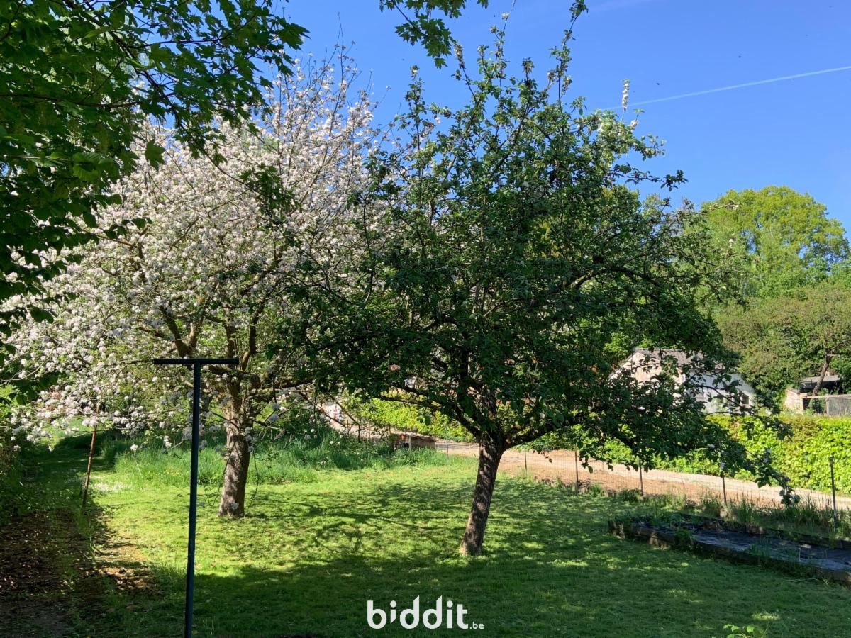 Photo 5 du bien A vendre - maison à Lasne